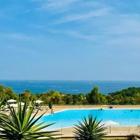 Studio-terrasse Avec Vue Mer-clim-parking-draps Inclus Apartment *