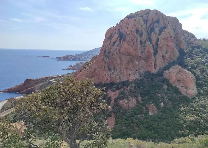 Studio-terrasse Vue Mer-clim-parking-draps Inclus Apartment *