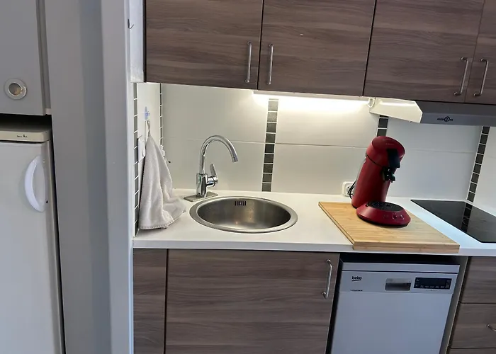 Apartment Studio-terrasse Vue Mer-clim-parking-draps Inclus