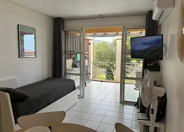 Apartment Studio-terrasse Vue Mer-clim-parking-draps Inclus